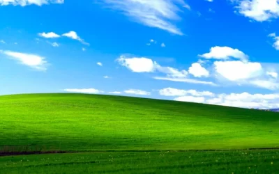 Bliss, la foto más vista del mundo